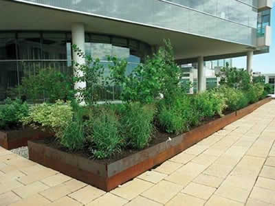 Cupolex – Green Roof Paving